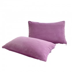 Wholesale Milk Fleece Pillowcases, One Pair, Winter Thickened Coral Fleece Pillowcases, Pillow Covers, Single Pillow Liner