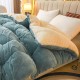 Large jacquard milk fleece winter quilt with core for warmth and thickness, suitable for single and double beds in all seasons, summer, spring, and autumn. Large jacquard milk fleece winter quilt with core for warmth and thickness, suitable for single and double beds in all seasons, summer, spring, and autumn.