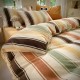 Winter milk fleece four-piece bedding set, plush, thickened coral fleece, Flannel blue duvet cover, winter three-piece set