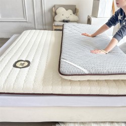 Lambskin mattress pad for home use, thickened for autumn and winter, single-size sponge warm bedding for student dormitories Lambskin mattress pad for home use, thickened for autumn and winter, single-size sponge warm bedding for student dormitories