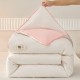 2024 Jacquard Double-Patchwork Cotton Soy Quilt, Two-in-One Zippered Mother-and-Daughter Quilt, Spring, Autumn, Winter, Summer Quilt for Students 2024 Jacquard Double-Patchwork Cotton Soy Quilt, Two-in-One Zippered Mother-and-Daughter Quilt, Spring, Autumn, Winter, Summer Quilt for Students