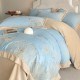 High-end embroidered milk fleece four-piece set, 2025 new plush duvet cover, thickened winter coral flannel sheet.