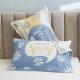 Pair of pure cotton pillowcases for student dormitories, non-slip, internet-famous, vintage pillowcases for home use Pair of pure cotton pillowcases for student dormitories, non-slip, internet-famous, vintage pillowcases for home use